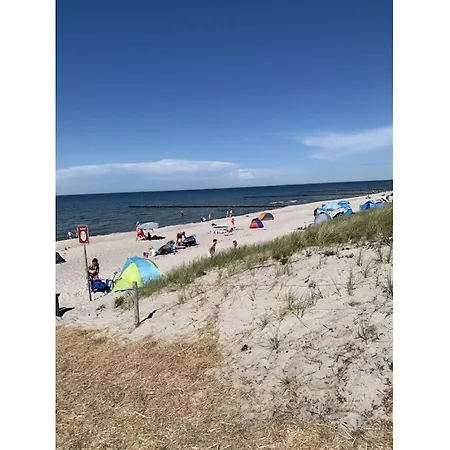 Vakantiehuis In With Swimming Pool Zingst
